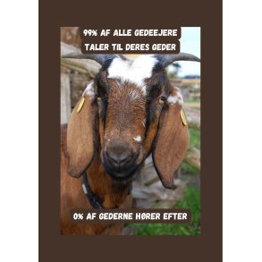 Skilt: 99% af alle gedeejere taler til deres geder (Nubisk)