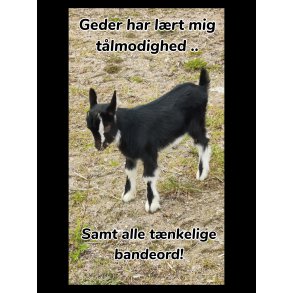 Skilt: Geder har lrt mig tlmodighed