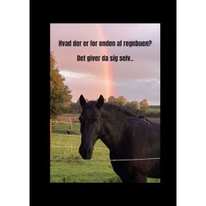 Skilt: Hvad der er for enden af regnbuen? (Hest)