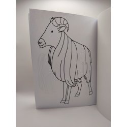 Malebog med dyr fra hele verden