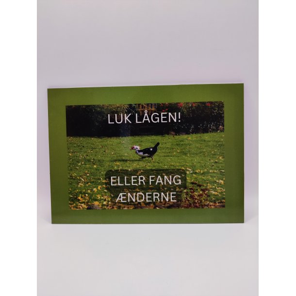 Skilt: Luk lgen! / Skilt med moskusand som motiv / / H 21 cm . B 15 cm.