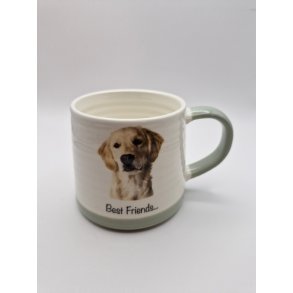 Kop med Golden Labrador Retriever hund. Tekst: Best Friends