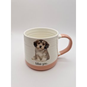 Kop med malteser hund. Tekst: Miss You