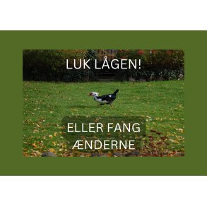 Skilt: Luk lgen! / Skilt med moskusand som motiv / / H 21 cm . B 15 cm.