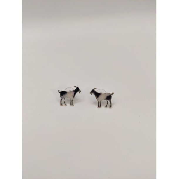 Ged restikker med broget pels