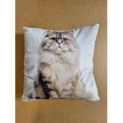 Pude med (langhret) kat