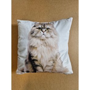 Pude med (langhret) kat