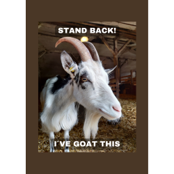 Skilt: Stand back! / Skilt med dansk landrace ged som motiv / H 21 cm . B 15 cm.