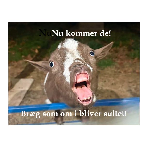 Skilt: "Nu kommer de! Brg som om i bliver sultet!"